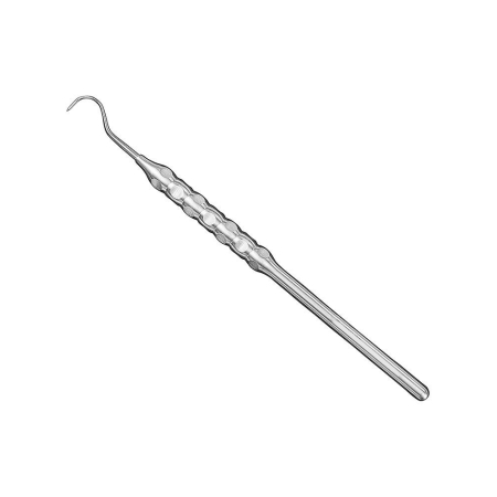 orig. anatomical handle